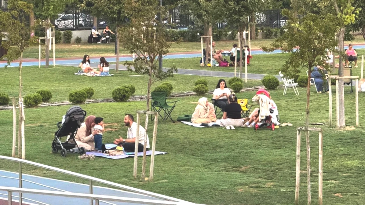 Antalya’nın Her Noktasında Haşereyle Savaş Devam Ediyor! Mücadeleyle İlgili Tüm Detaylar