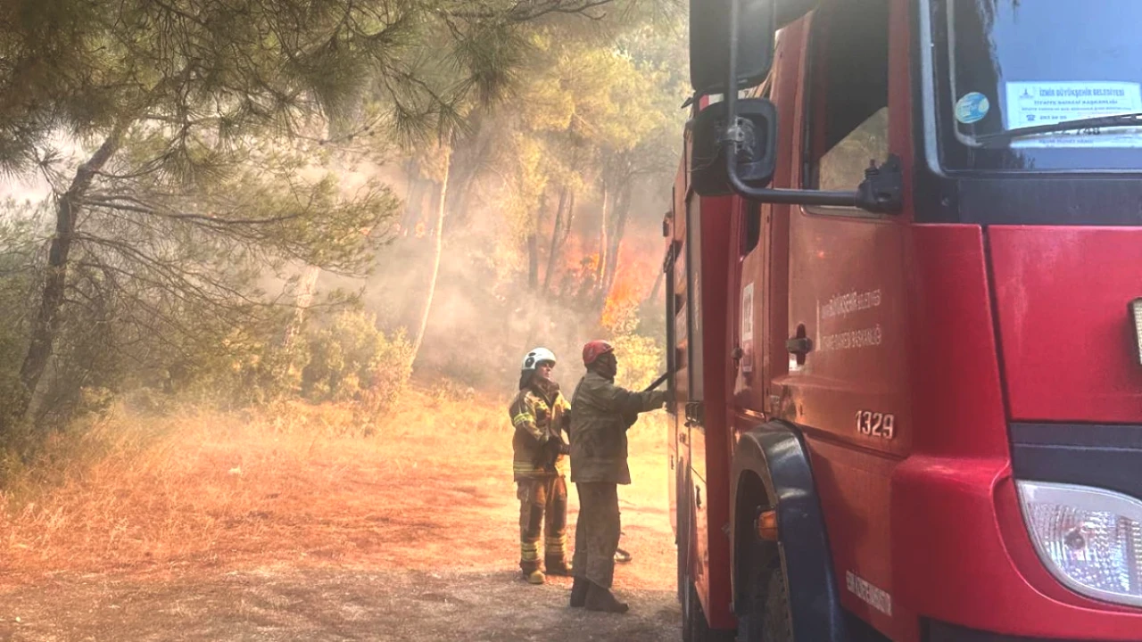 Gaziemir'de Yangınla Mücadelede Son Durum: Kontrol Altına Alınıyor!