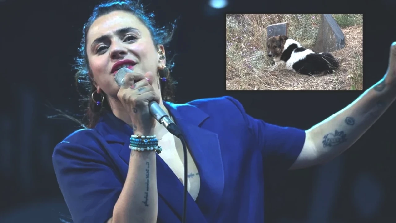 Ceylan Ertem, Sahibinin Mezarı Başında Bekleyen Köpeği Sahiplendi!